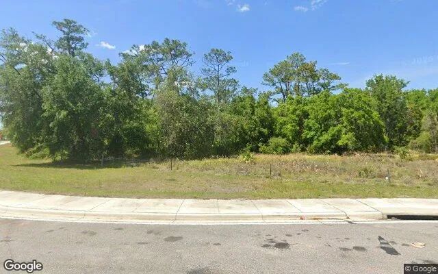 Decorative background for 0.54 Acres in San Antonio - Pasco County, FL image 5