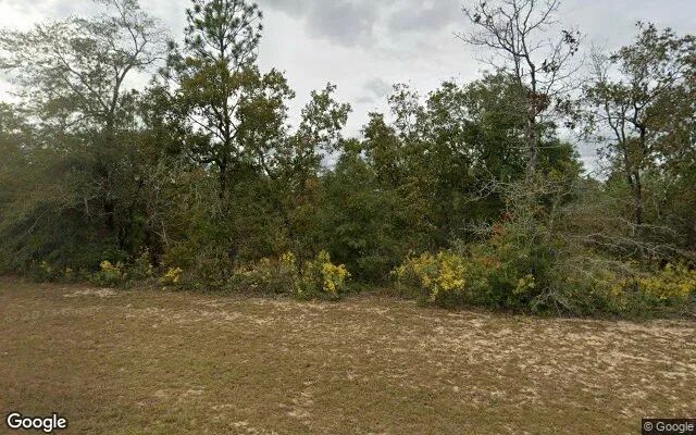 0.55 Acres in Chipley - Washington County, FL - Image 4
