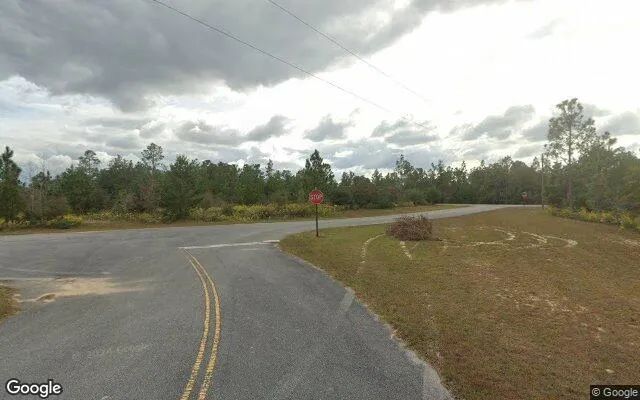 Decorative background for 0.55 Acres in Chipley - Washington County, FL image 5
