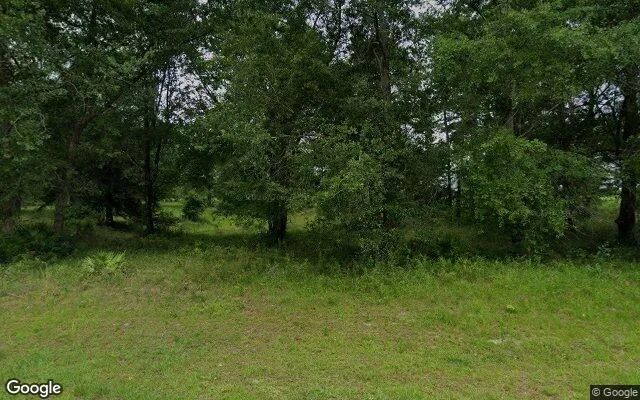 1.5 Acres in Lake Butler - Union County, FL - Image 4