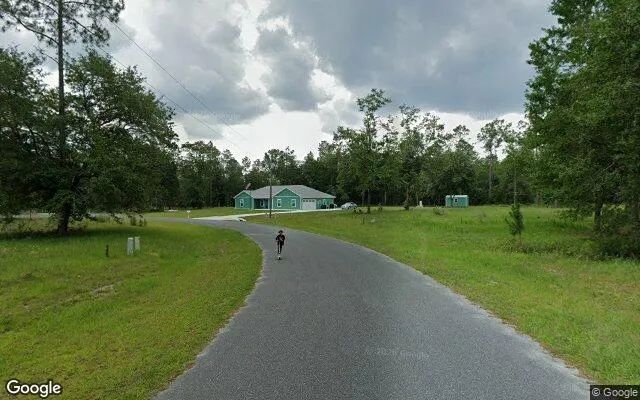Decorative background for 1.5 Acres in Lake Butler - Union County, FL image 5