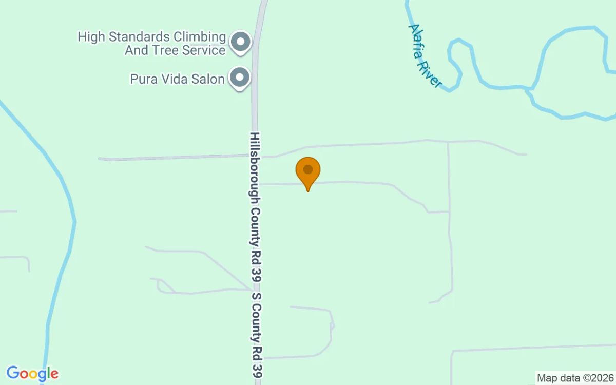 0.29 Acres in Lithia - Hillsborough County, FL - Image 2