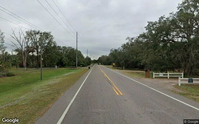 Decorative background for 0.29 Acres in Lithia - Hillsborough County, FL image 5