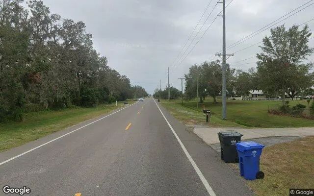Decorative background for 0.29 Acres in Lithia - Hillsborough County, FL image 6