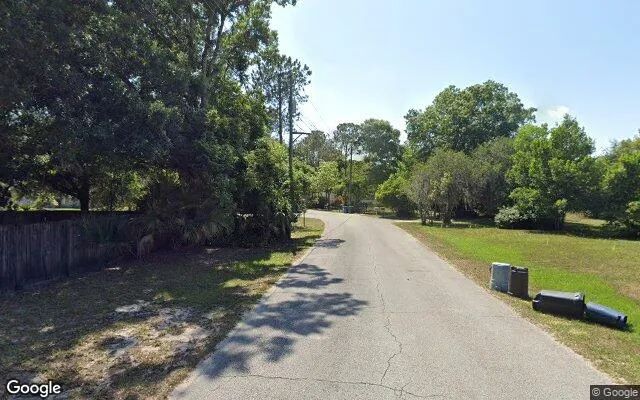 Decorative background for 0.55 Acres in Lutz - Hillsborough County, FL image 5