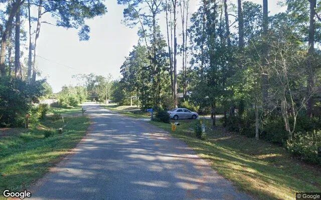 Decorative background for 0.55 Acres in Tallahassee - Leon County, FL image 6