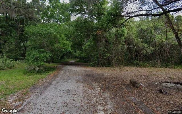 Decorative background for 0.34 Acres in Crescent City - Putnam County, FL image 5
