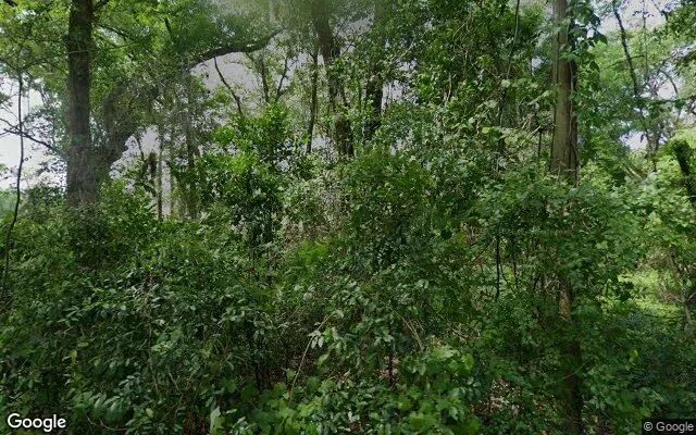 0.22 Acres in Pomona Park - Putnam County, FL - Image 4