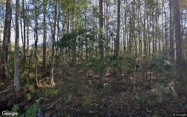 0.55 Acres in East Palatka - Putnam County, FL - Image 4