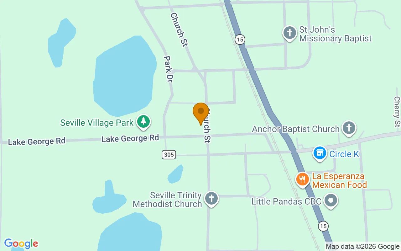 0.22 Acres in Seville - Volusia County, FL in Volusia County, FL