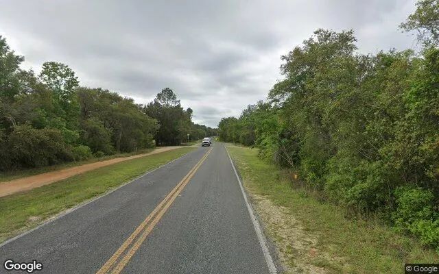 Decorative background for 0.21 Acres in Fort Mc Coy - Marion County, FL image 6