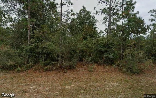 0.55 Acres in Chipley - Washington County, FL - Image 4