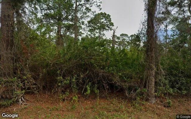 0.5 Acres in Alva - Lee County, FL - Image 4
