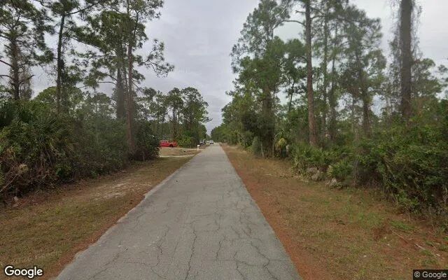 Decorative background for 0.5 Acres in Alva - Lee County, FL image 5