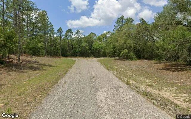 Decorative background for 0.55 Acres in Beverly Hills - Citrus County, FL image 6