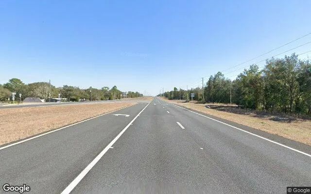 Decorative background for 0.32 Acres in Morriston - Levy County, FL image 5