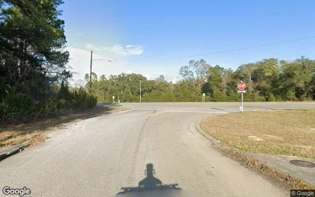 Decorative background for 0.93 Acres in Ebro - Washington County, FL image 6