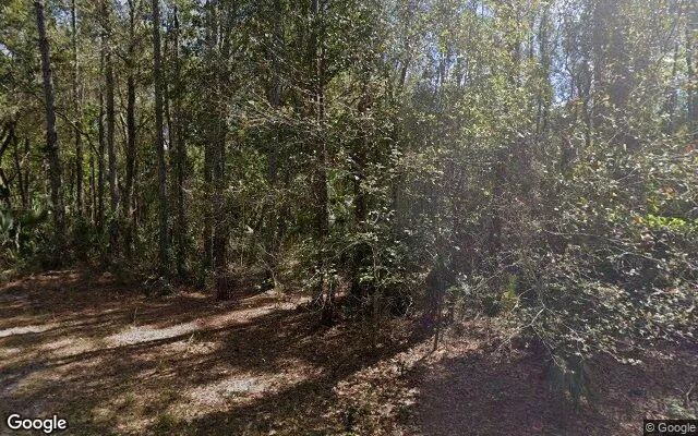 0.27 Acres in Georgetown - Putnam County, FL in Putnam County, FL