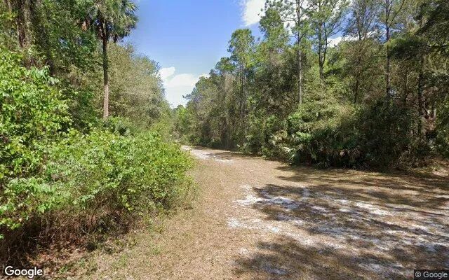 Decorative background for 0.27 Acres in Georgetown - Putnam County, FL image 5