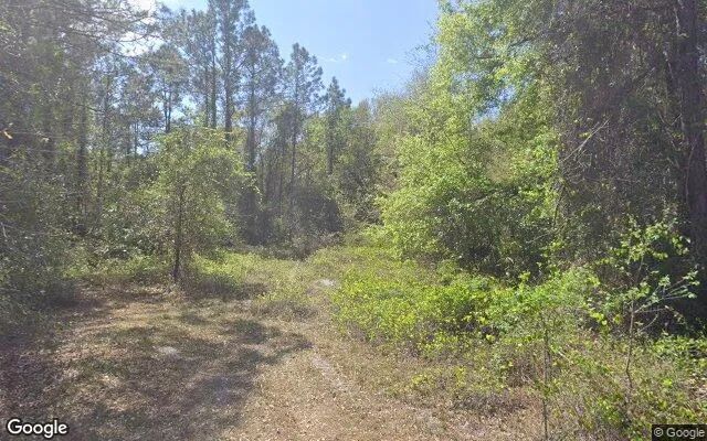 Decorative background for 0.27 Acres in Georgetown - Putnam County, FL image 6