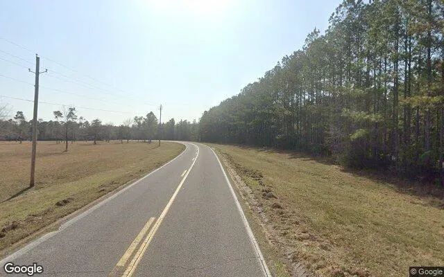 Decorative background for 1.5 Acres in Mc David - Escambia County, FL image 5