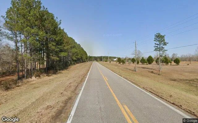 Decorative background for 1.5 Acres in Mc David - Escambia County, FL image 6