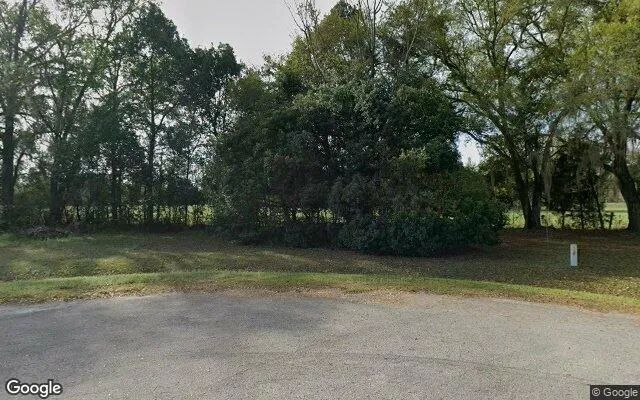 Decorative background for 15.09 Acres in Bristol - Liberty County, FL image 6