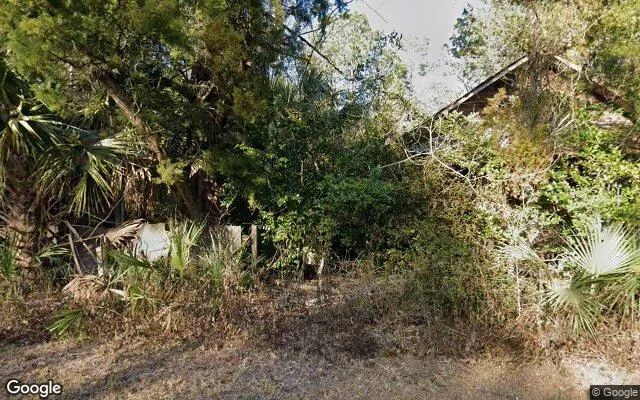 0.15 Acres in Otter Creek - Levy County, FL in Levy County, FL