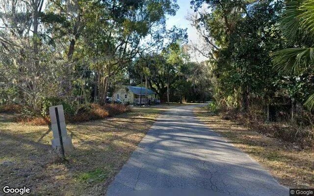 Decorative background for 0.15 Acres in Otter Creek - Levy County, FL image 5