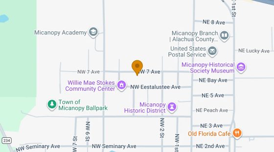 0.29 Acres in Micanopy - Alachua County, FL in Alachua County, FL