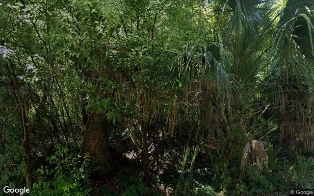 0.29 Acres in Micanopy - Alachua County, FL in Alachua County, FL