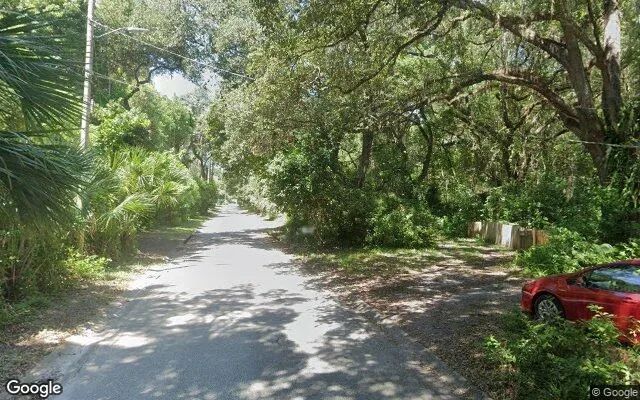 Decorative background for 0.29 Acres in Micanopy - Alachua County, FL image 6