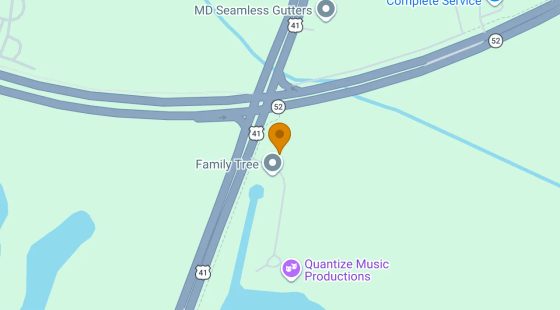 0.31 Acres in Land O Lakes - Pasco County, FL in Pasco County, FL