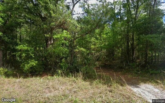 0.55 Acres in Bostwick - Putnam County, FL - Image 4