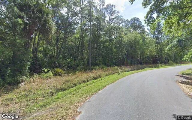 Decorative background for 0.55 Acres in Bostwick - Putnam County, FL image 6