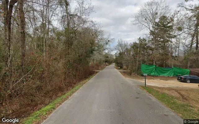 Decorative background for 0.21 Acres in Molino - Escambia County, FL image 5