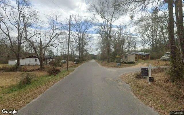Decorative background for 0.21 Acres in Molino - Escambia County, FL image 6