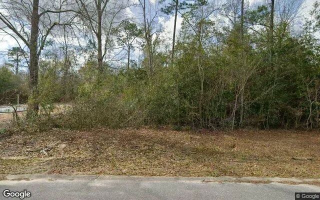 0.55 Acres in Wewahitchka - Gulf County, FL in Gulf County, FL
