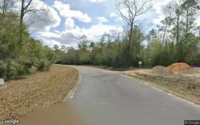 Decorative background for 0.55 Acres in Wewahitchka - Gulf County, FL image 5
