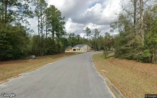 Decorative background for 0.55 Acres in Wewahitchka - Gulf County, FL image 6