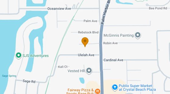 0.13 Acres in Palm Harbor - Pinellas County, FL in Pinellas County, FL