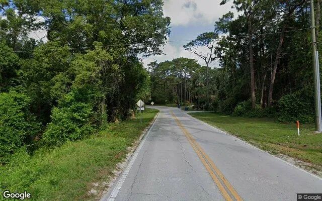 Decorative background for 0.67 Acres in Deland - Volusia County, FL image 5