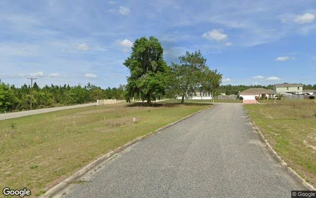 Decorative background for 0.16 Acres in Welaka - Putnam County, FL image 5