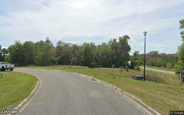 Decorative background for 0.16 Acres in Welaka - Putnam County, FL image 6