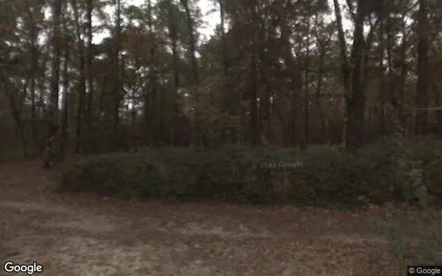 Decorative background for 0.55 Acres in Tallahassee - Leon County, FL image 5
