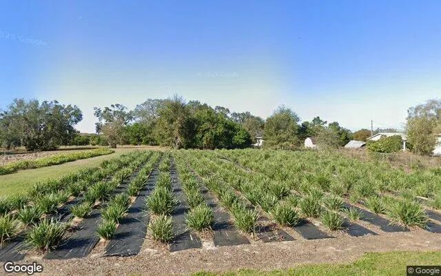 0.32 Acres in Lake Hamilton - Polk County, FL - Image 4
