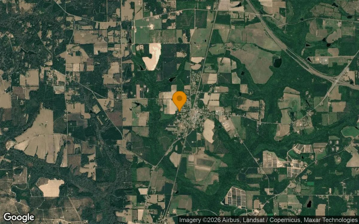 0.2 Acres in Greensboro - Gadsden County, FL - Image 3