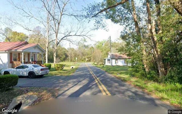 Decorative background for 0.2 Acres in Greensboro - Gadsden County, FL image 5