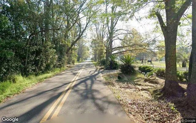 Decorative background for 0.2 Acres in Greensboro - Gadsden County, FL image 6