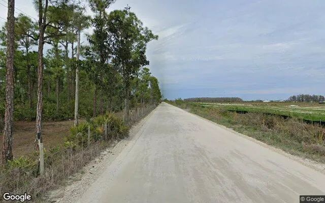 Decorative background for 0.19 Acres in Estero - Lee County, FL image 5